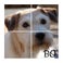 Instagram Collage - Foto mit Magnet