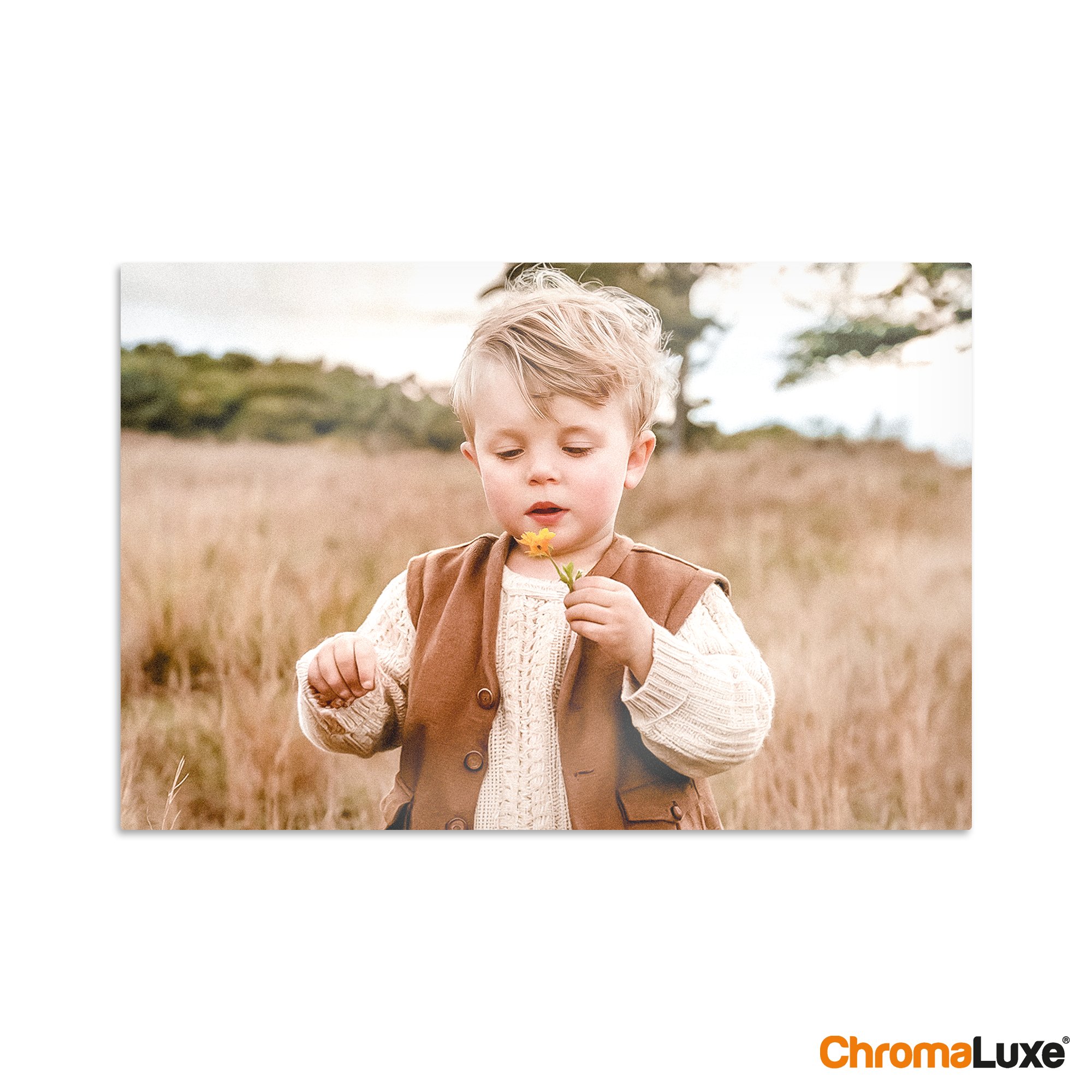 Jouw Instafoto's direct aan de muur op een aluminium Instacollage met een gedrukte foto van een blond kindje met een bloem in het veld.