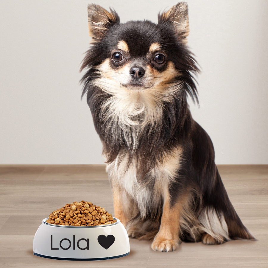 Bacia de alimentação para cães - Branco - 160ml