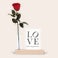 Infinity Rose avec support photo Infinity Rose avec support photo