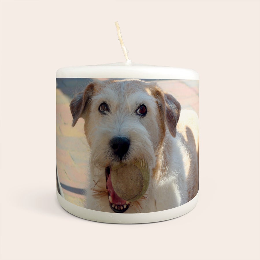 Ljus med foto - 9 x 10 cm Vitt ljus med ett tryckt personligt foto av en hund som håller en boll i munnen.