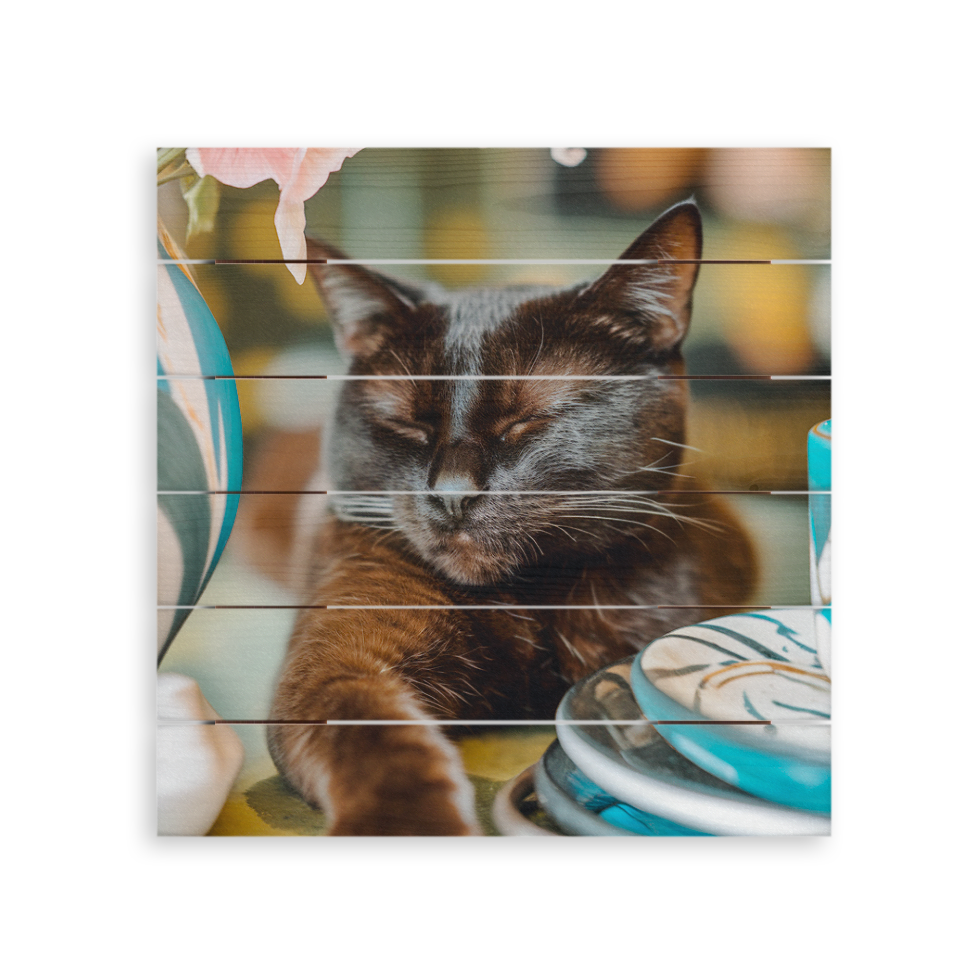 Customized wooden planks with a photo printed of a sleeping black cat with white whiskers