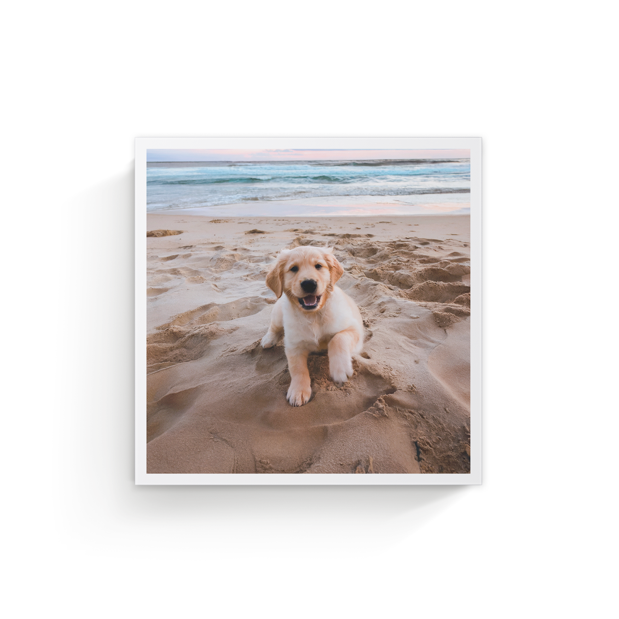 Tela personalizzata con la foto di un cucciolo di golden retriever sorridente sulla sabbia stampata in alta qualità