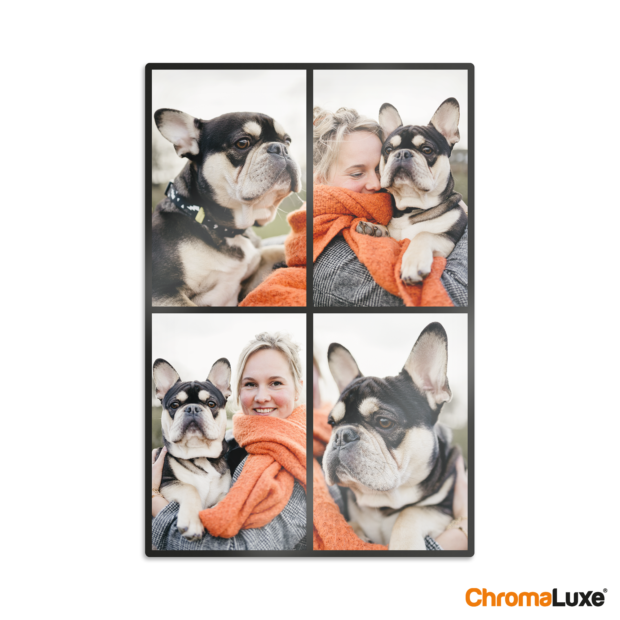 Instacollage aluminium personnalisé avec quatre photos dun bulldog français et dune jeune femme