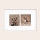 Foto auf Forex Foto auf Forex