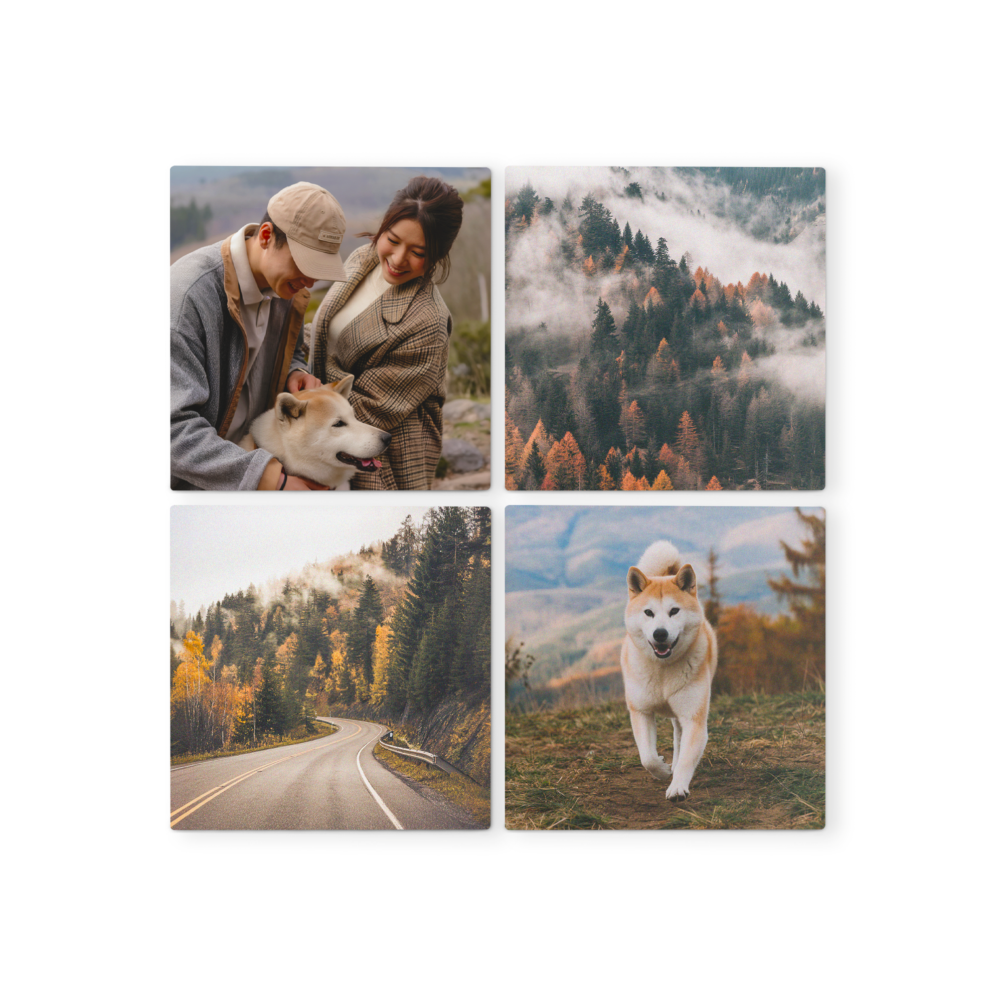 Vier vierkante forex fototegels met twee natuurfoto's en twee foto's van een koppel met hond, gepersonaliseerd met eigen foto's.