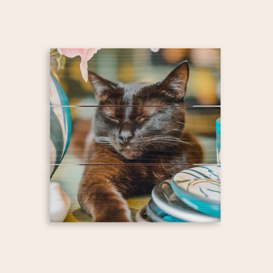 Tre bilde Et personlig bilde på treplanker med en svart katt som sover, trykt på whitewash furu.