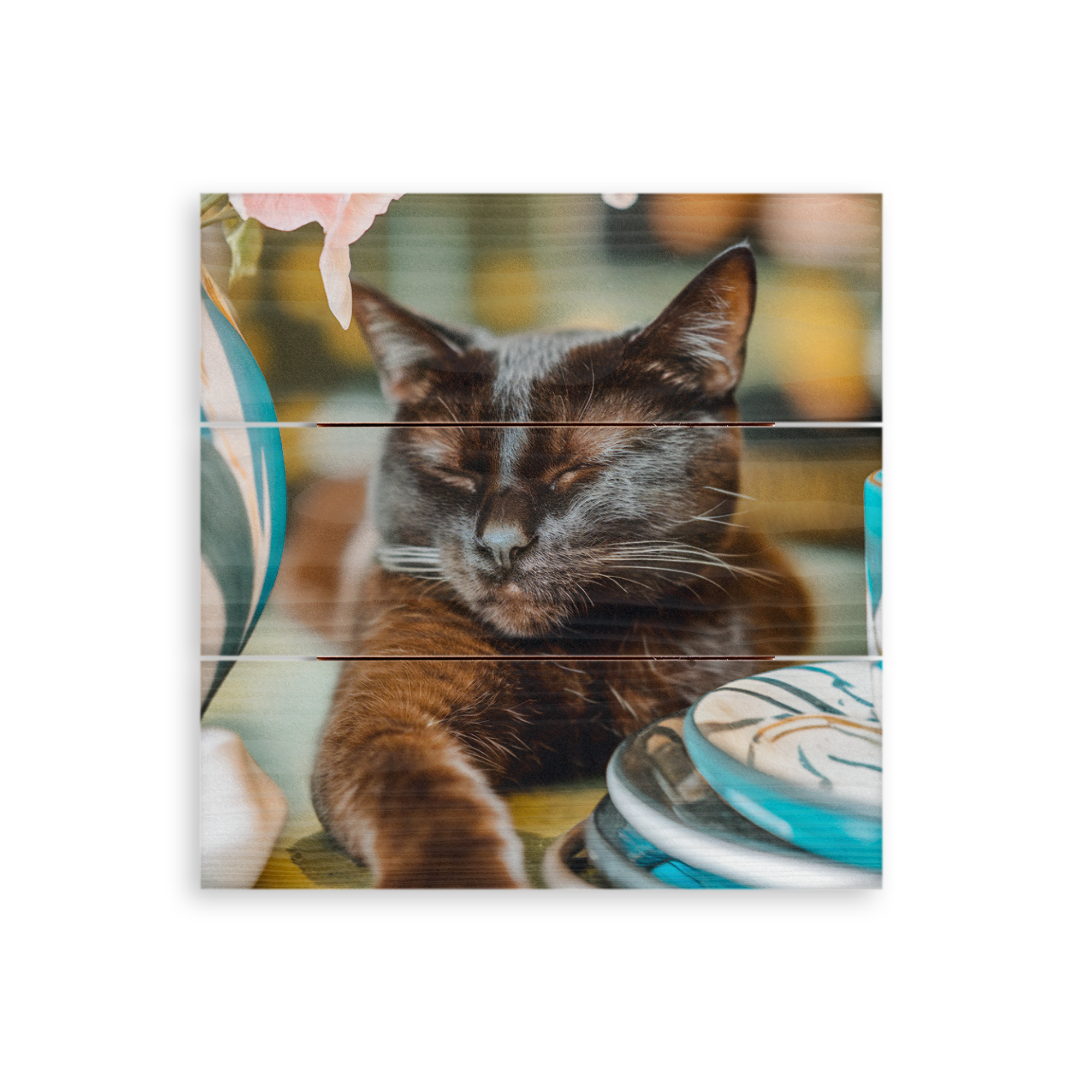 En bild på en sovande svart katt tryckt med ett foto på träplankor med whitewash finish