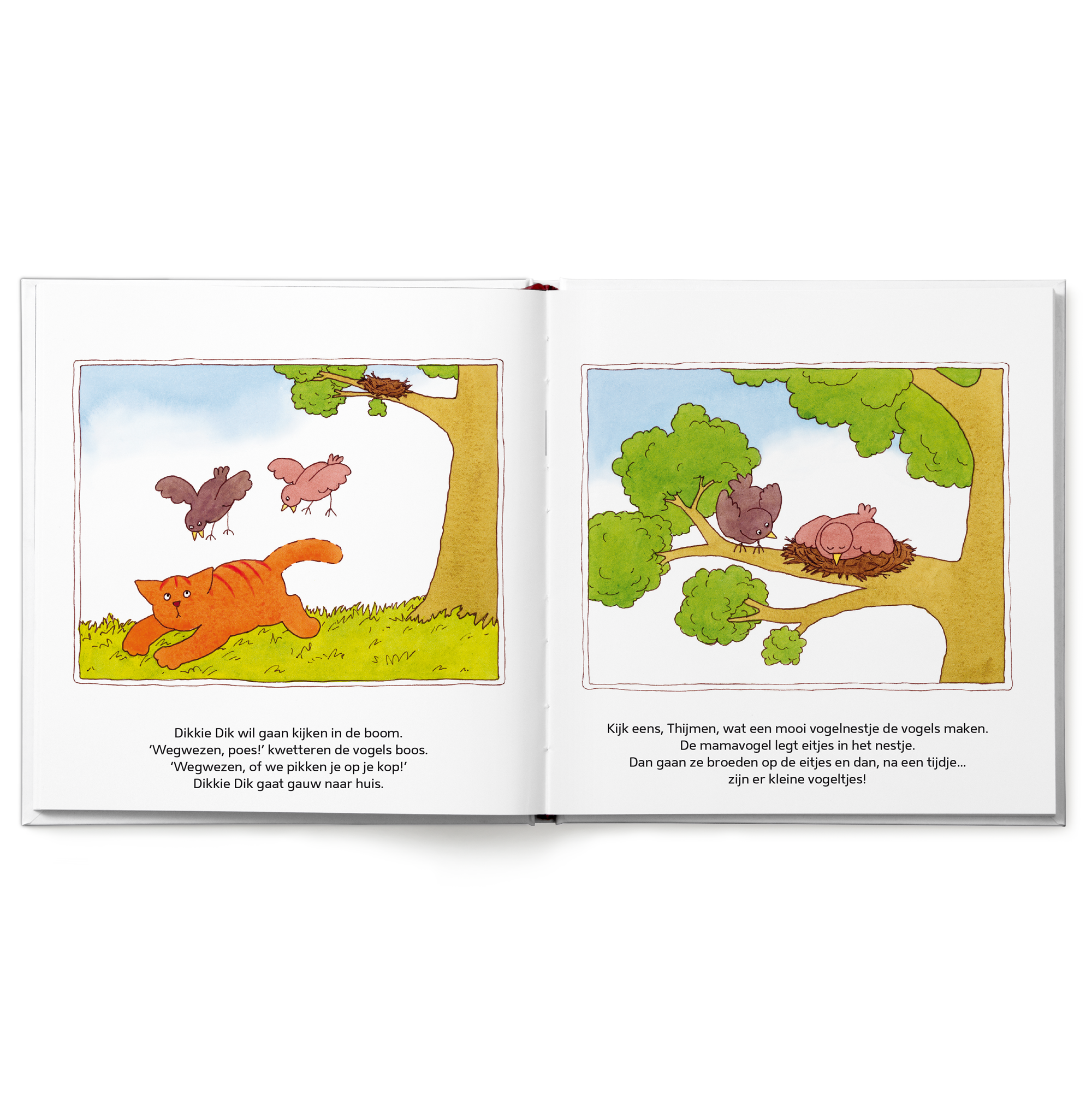 Open gepersonaliseerd Dikkie Dik boek met naam 'Thijmen', met lentetaferelen en vogels