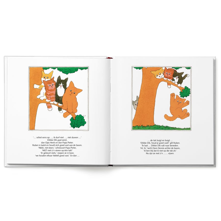 Dikkie Dik boek "Hoera voor jou!" met naam Open jij speelt de hoofdrol in dit vrolijke Dikkie Dik boek met drie verhaaltjes met geïllustreerde katten in een boom, gepersonaliseerd met de naam Ruben.
