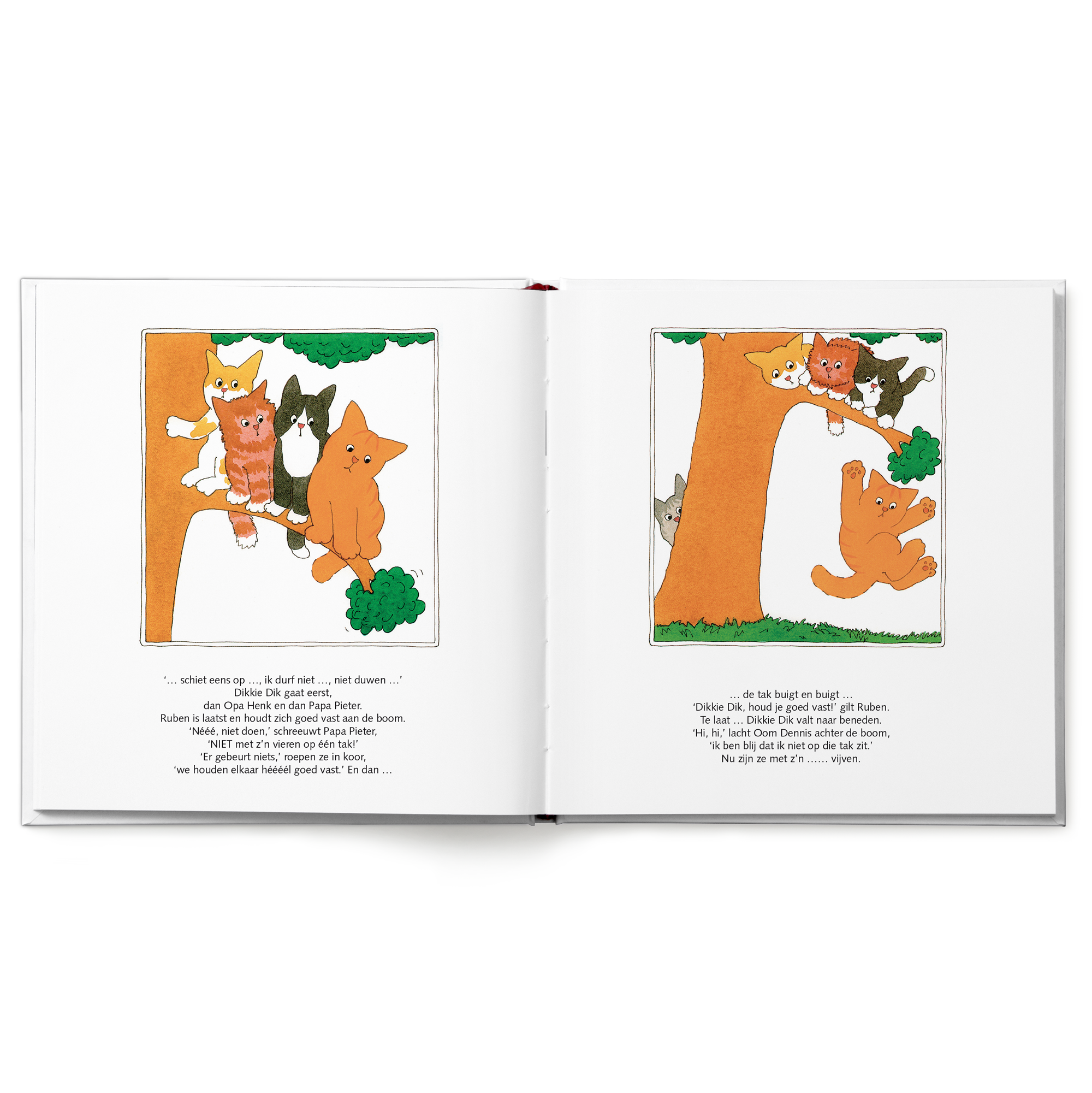 Dikkie Dik boek "Hoera voor jou!" met naam