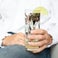 Highball Glass - Plastic - Printed  Highball Glass - Plastic - Printed