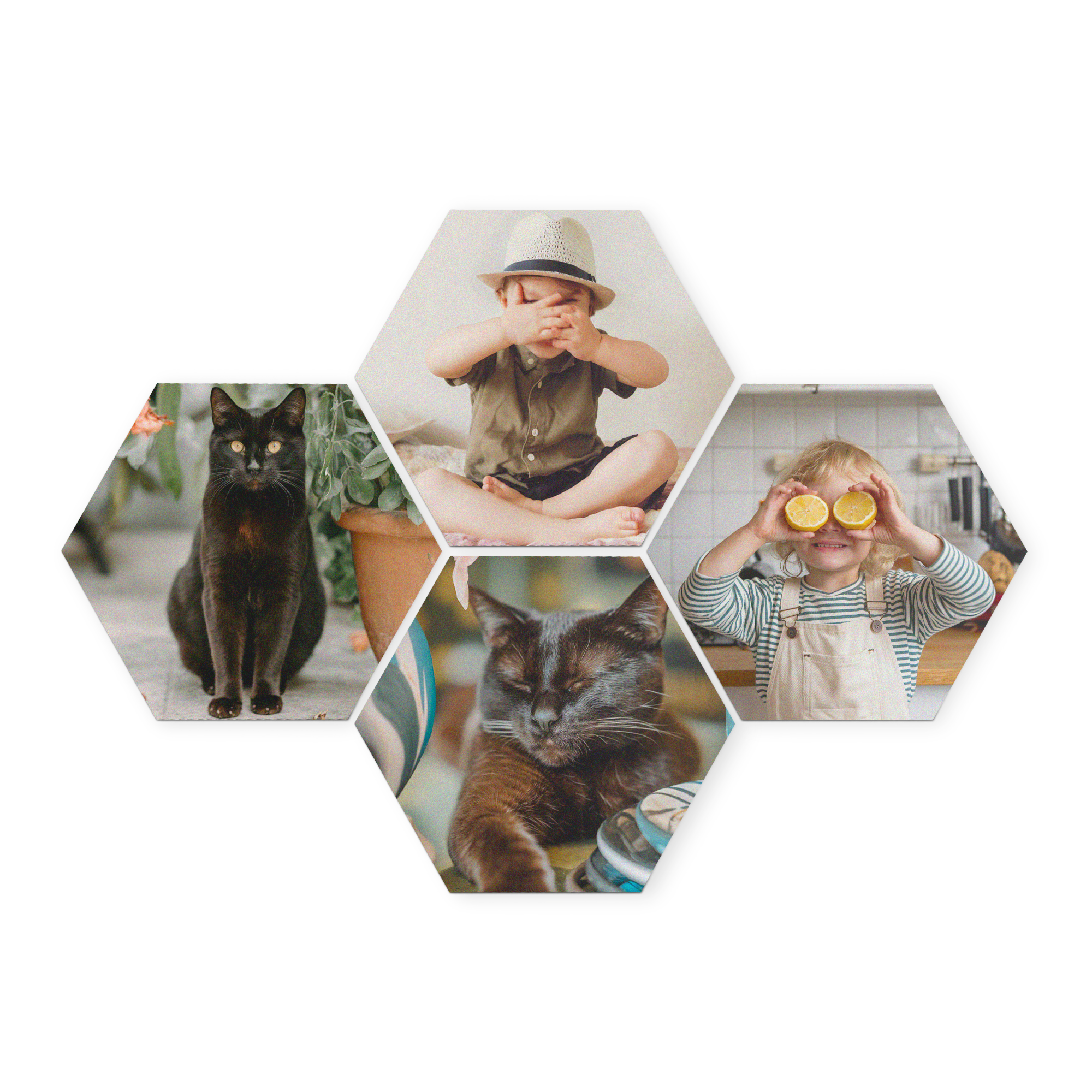 Paneles de arte de madera con forma hexagonal, impresos con cuatro fotos personalizadas de mascotas y niños.