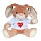 Peluche con camiseta personalizada - Conejo