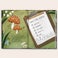 Personalised book - The Big Party Book Personalised book - The Big Party Book