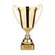 Trophée personnalisé - Or