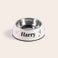 Cat feeding bowl Cat feeding bowl
