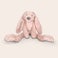Rabbit Richie Bamse med navn - Kanin Rabbit Richie Bamse med navn - Kanin