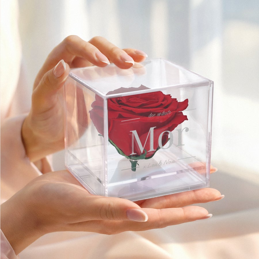 Evig rose i graveret plexiglas-etui En person holder en rød eternity rose i en indgraveret æske med teksten Mor og navnene Levi & Nova, et tidløst minde.