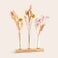Fleurs séchées avec support en bois personnalisé Fleurs séchées avec support en bois personnalisé