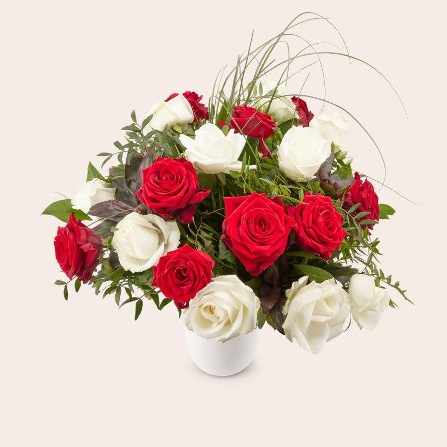 Rode en witte rozen Rode en witte rozen