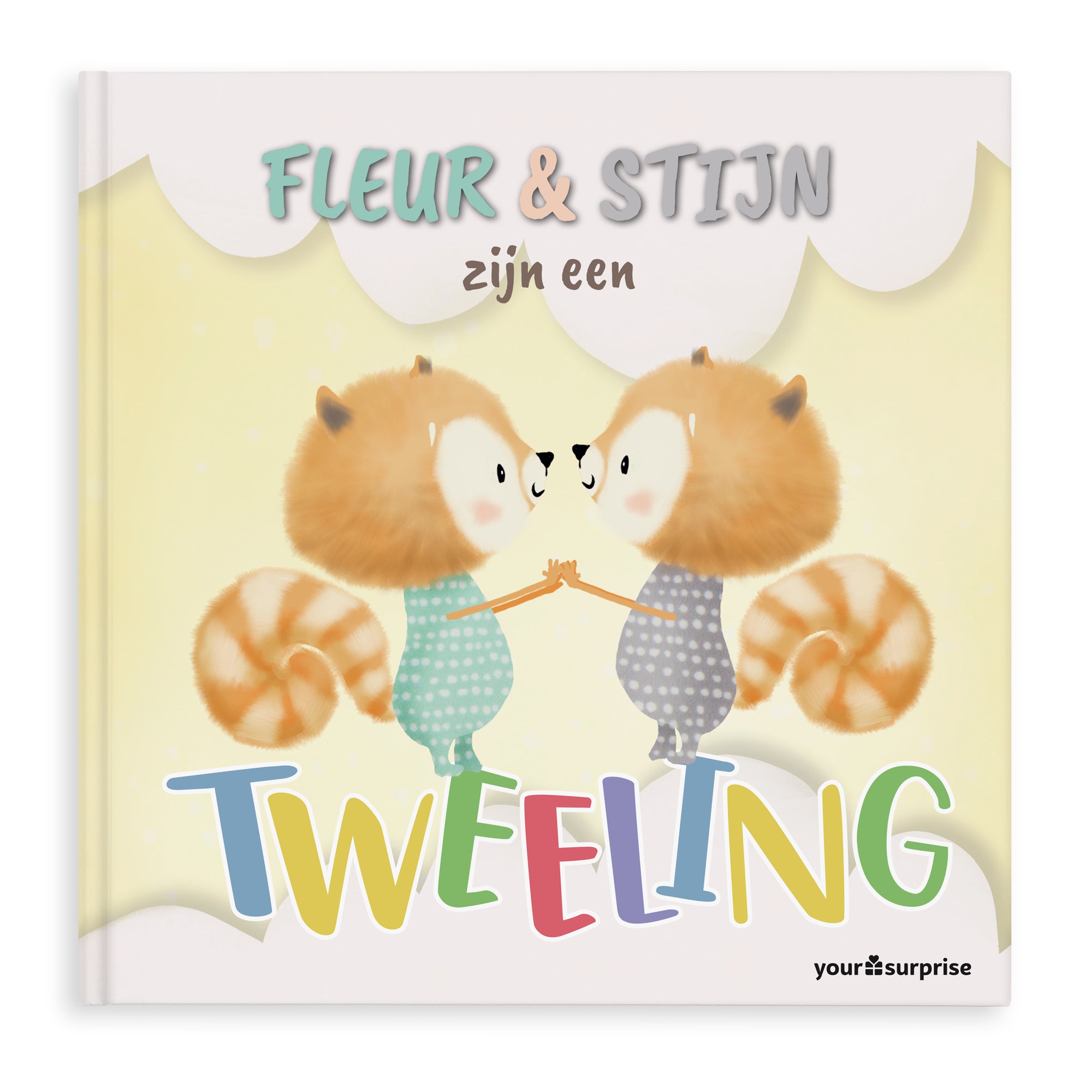 Gepersonaliseerd boek voor Tweelingen of Drielingen Softcover