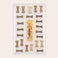 Personlig adventskalender for hunder – Pedigree Personlig adventskalender for hunder – Pedigree