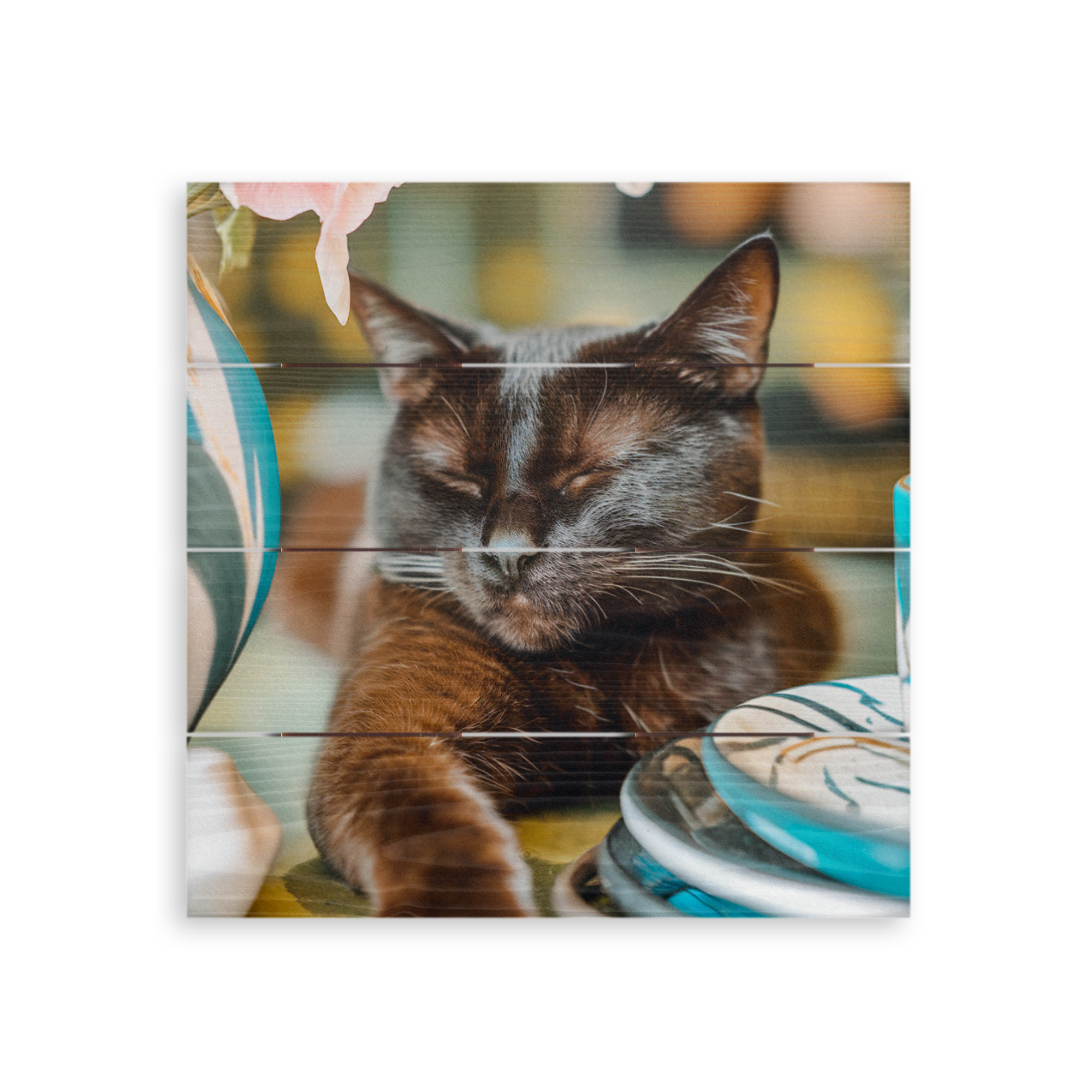 Vackert porträtt av en brun kattunge vilandes på en personlig träplanka, tryckt med ett foto på träplankor.