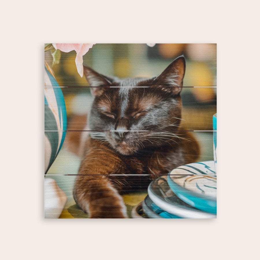 Foto på trä Vackert porträtt av en brun kattunge vilandes på en personlig träplanka, tryckt med ett foto på träplankor.