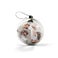 Boules de Noël - Transparentes (8)