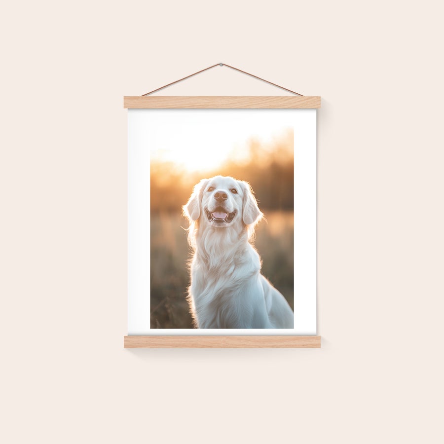Poster  Personalizzato con Cornice da Appendere Poster da parete con calamita personalizzato, stampato con foto di un golden retriever al tramonto, incorniciato da listelli in legno di quercia