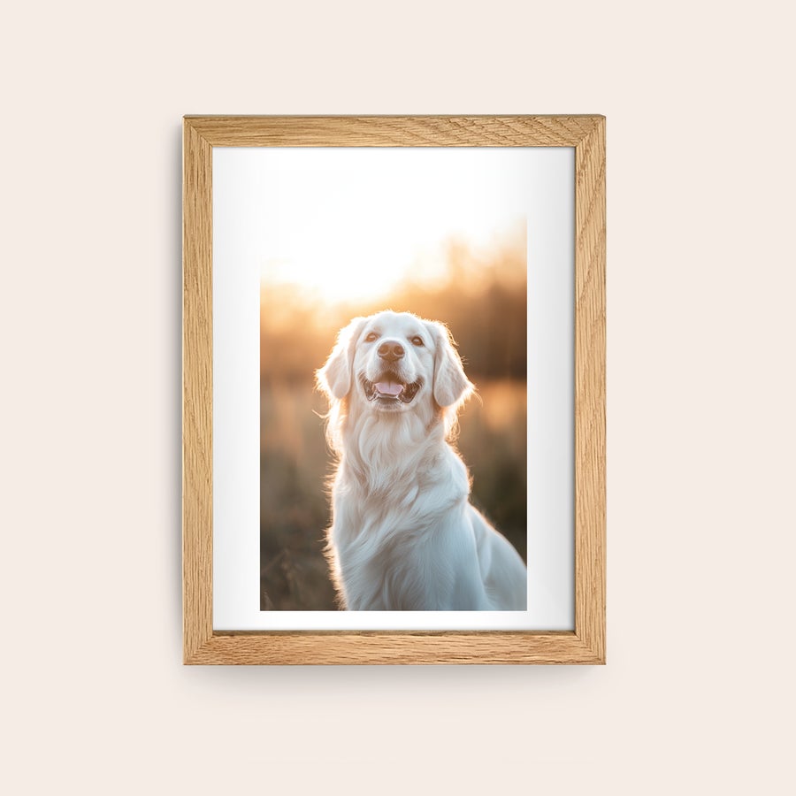 Fotografie înrămate Poster personalizat cu ramă din lemn de stejar și fotografia unui golden retriever zâmbitor, imprimat digital.