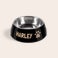 Gamelle pour chien Gamelle pour chien