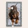 Personlig adventskalender for hunder – Pedigree Personlig adventskalender for hunder – Pedigree