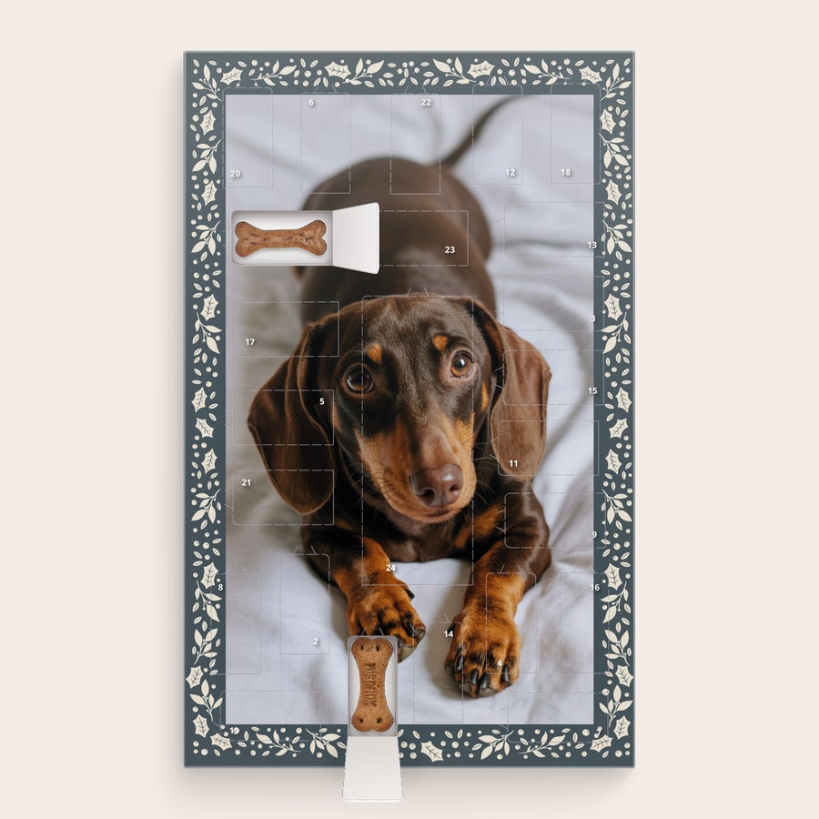 Personlig hundeadventskalender - Pedigree Personlig hundeadventskalender med et billede af en brun gravhund og åbne låger med Pedigree hundegodbidder.