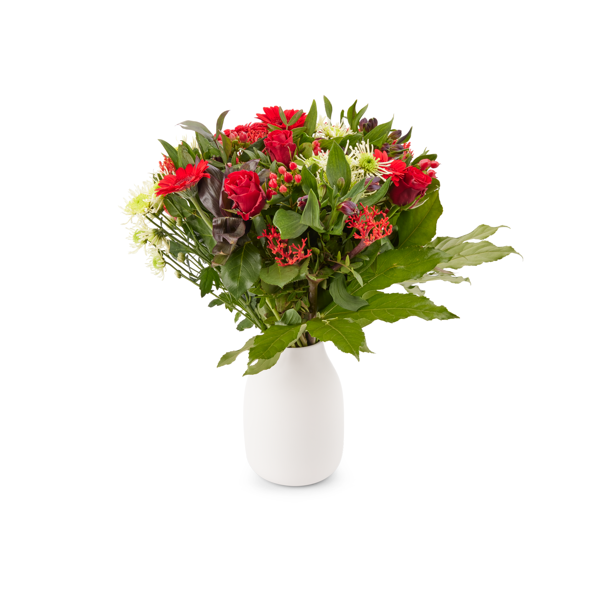 Een prachtig boeket rode bloemen en groene bladeren in een witte vaas, inclusief een gratis cadeaukaartje.