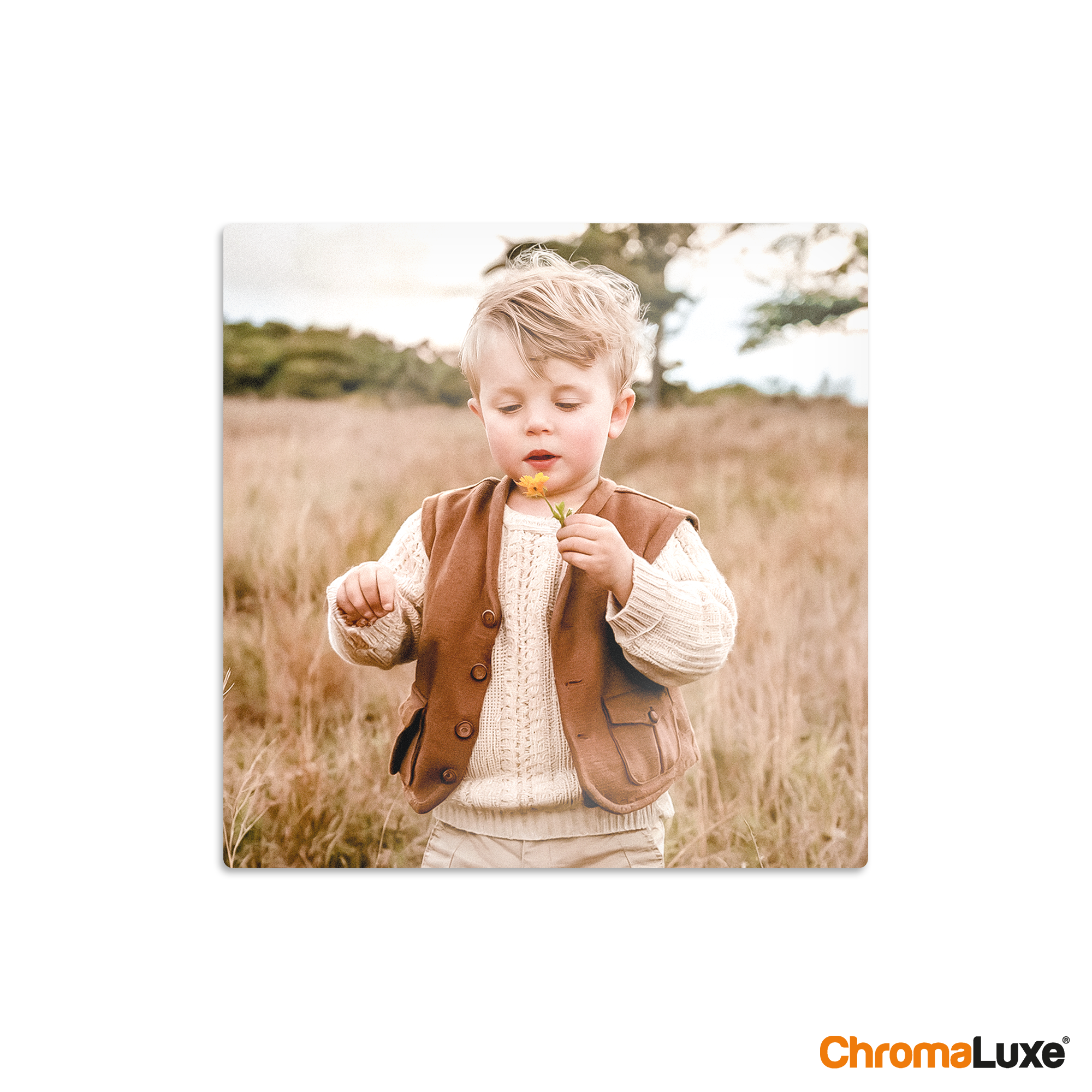 A personalized Instagram photo collage with a print of a young boy holding a yellow flower in a field