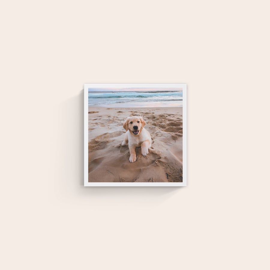 Stampa su Tela Personalizzata Stampa su tela personalizzata con la foto di un cucciolo golden retriever sulla spiaggia