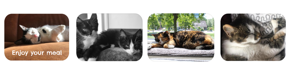 personalise cat photo placemat