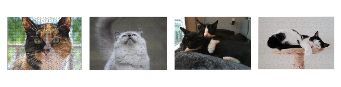puzzle avec une photo de votre chat