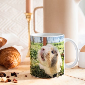 Blog - The Best Gifts for Animal Lovers
