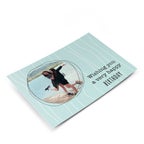 Cart&otilde;es de felicita&ccedil;&otilde;es