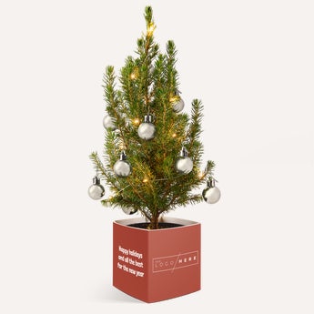 Mini kerstboom